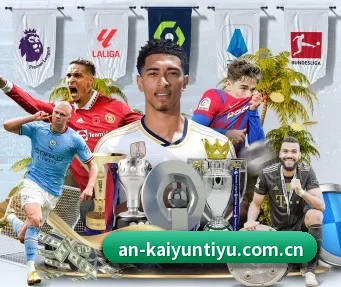 开云体育登陆入口 APP | Kaiyun